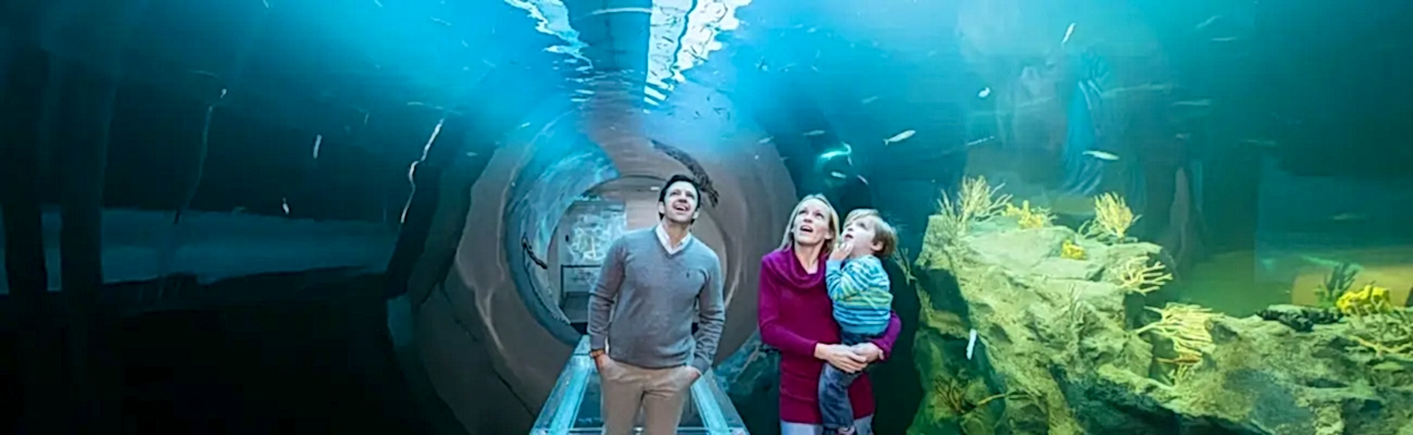 Attractions for Fun with Family in Istanbul