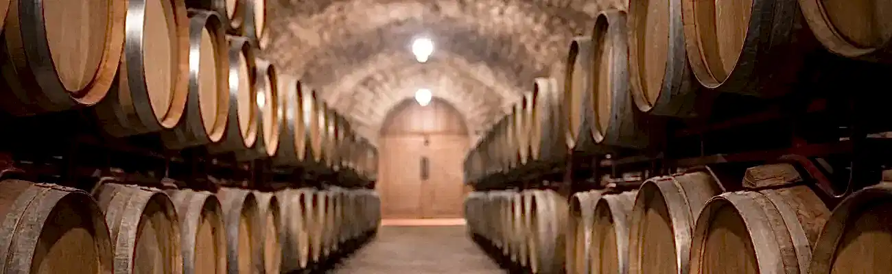 Best Wine Houses in Istanbul