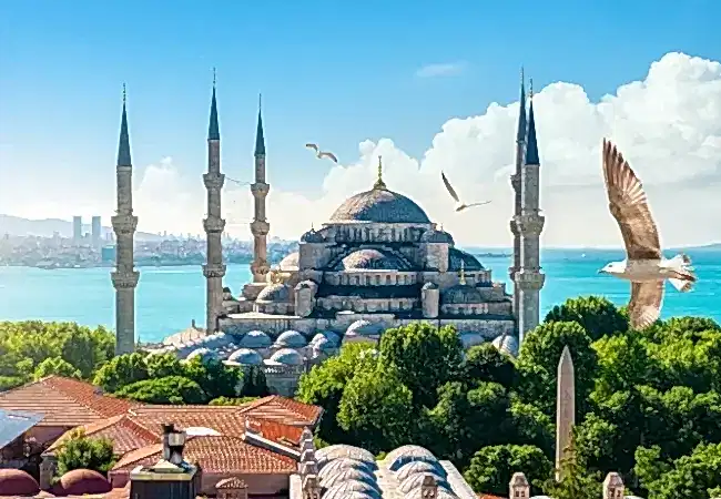 Blue Mosque Istanbul Guided Tour