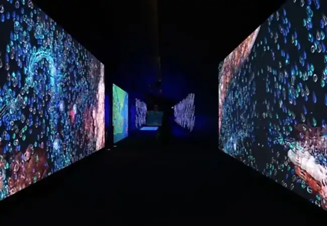 Digital Experience Museum