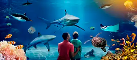 Istanbul Aquarium Florya