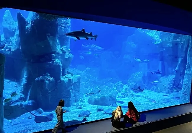 Istanbul Aquarium Florya