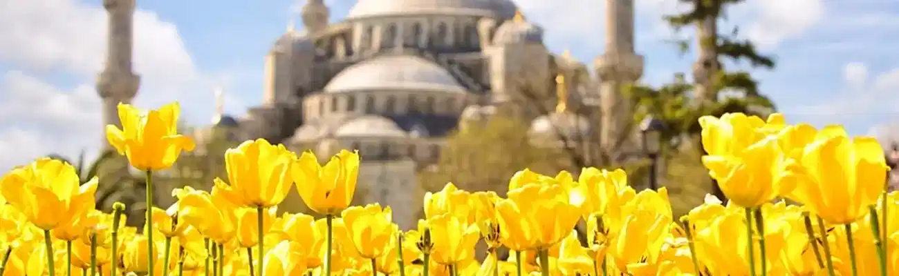 Istanbul Tulip Festival